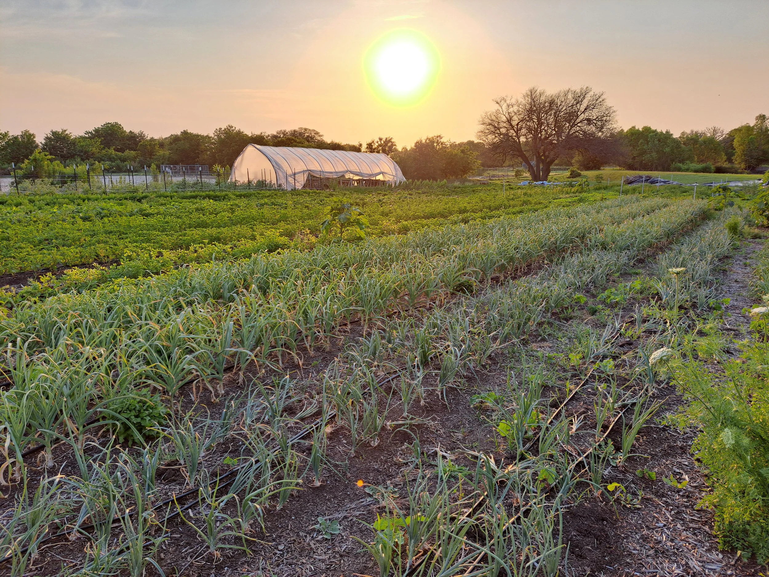 Cherokee Lakes Farm farm banner